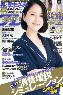 城市猎人 电视剧
